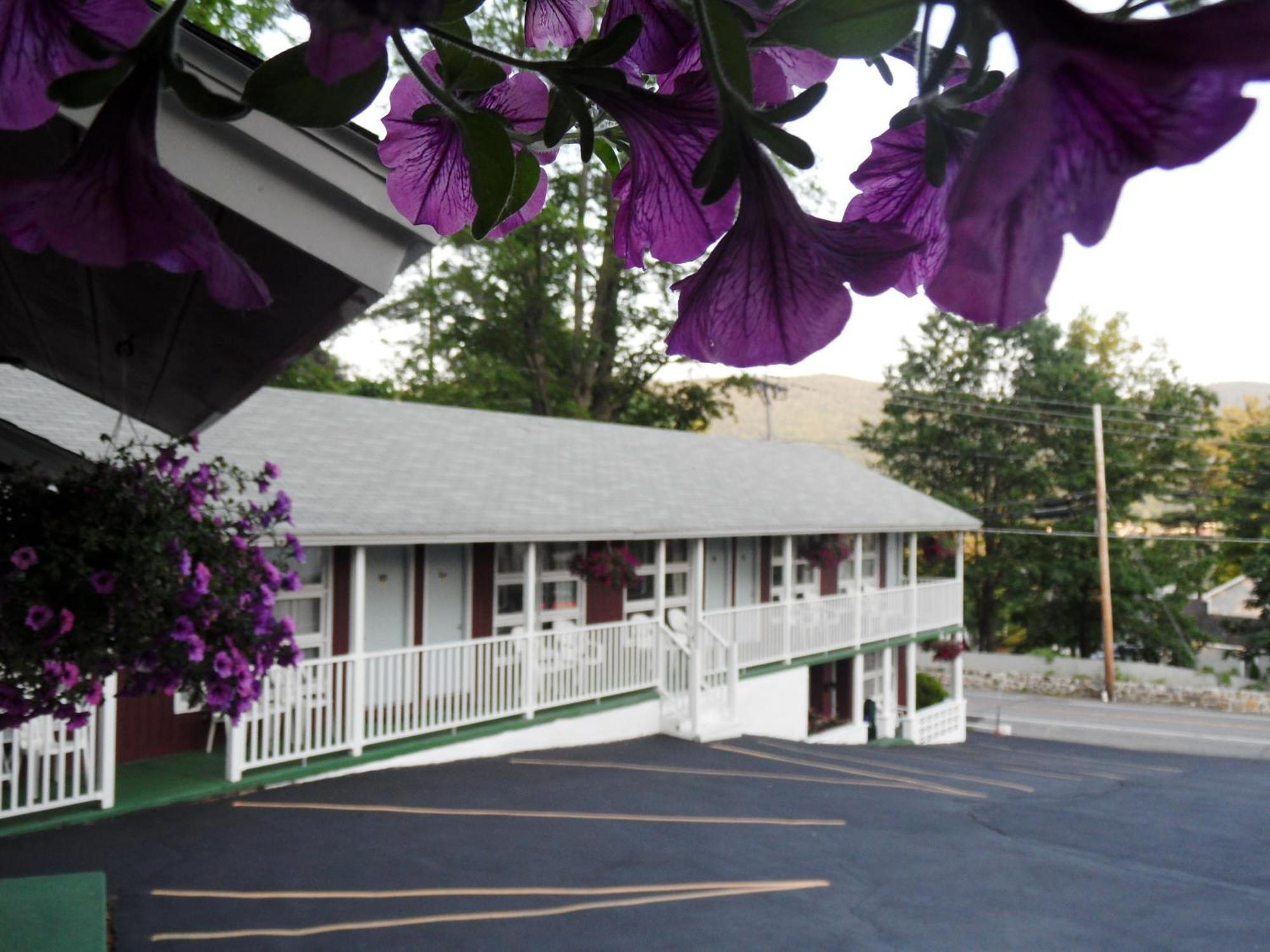 Pinebrook Motel Lac George Extérieur photo